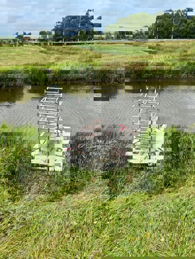 EasyFloat arbetsflotte placerad vid vass med byggställning ovanpå, på lugnt vatten.